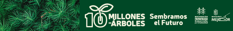 Banner_Vers1_PinoMich_MichNoticias_750x100px